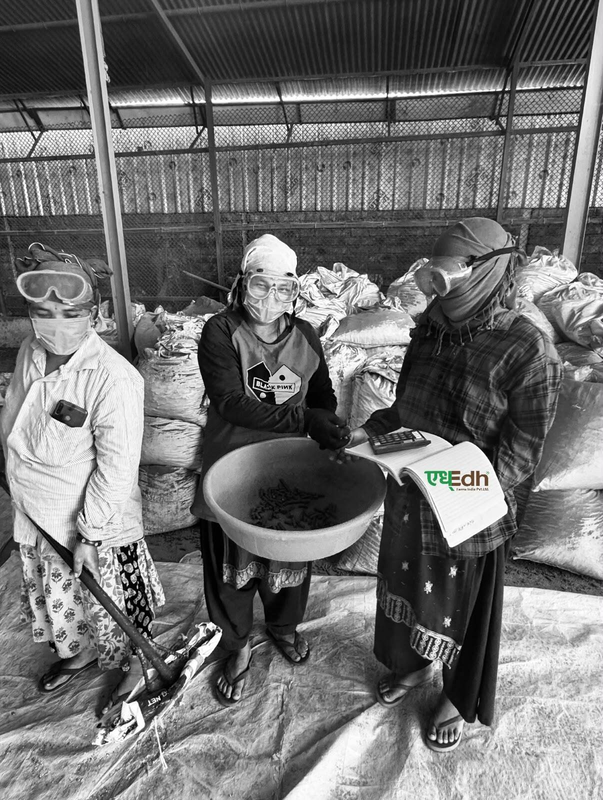 Rural women inspecting biomass pellets at an Edh Farms facility