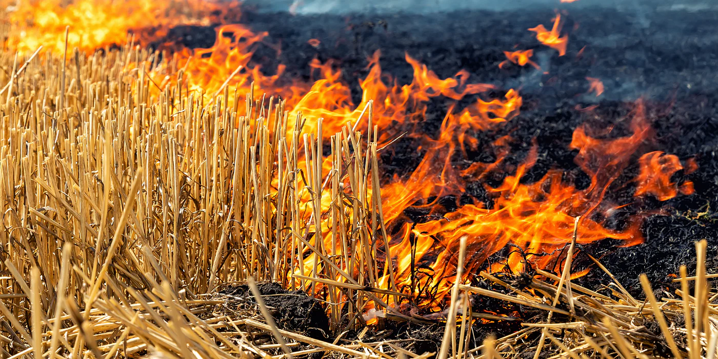 Agricultural Waste Burning