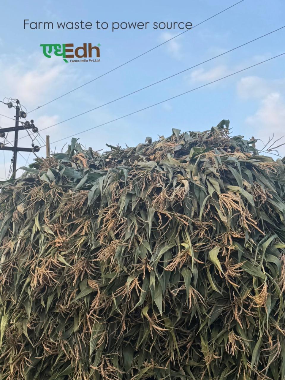 Farm waste stacked for power generation