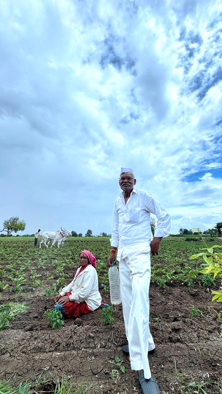 Farmers working in the field