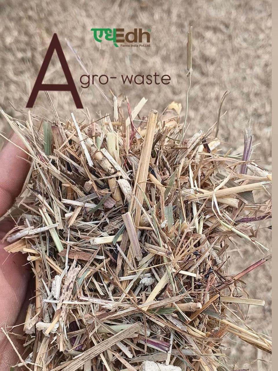 Agro-waste feedstock close-up