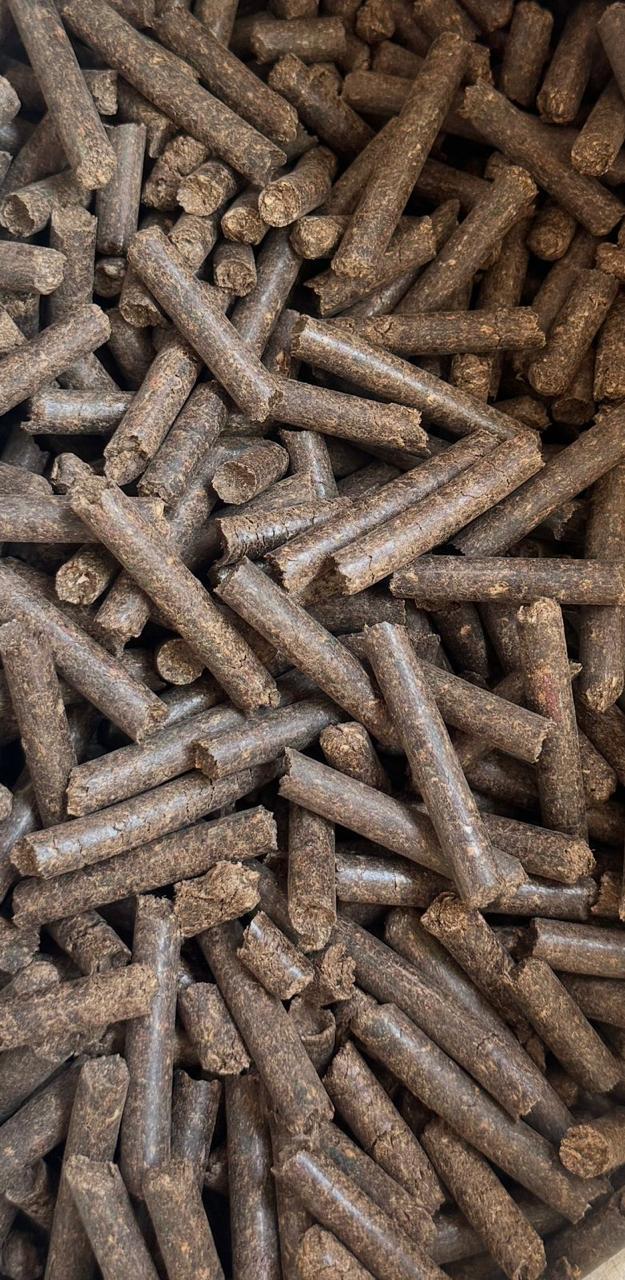 Finished biomass pellets close-up