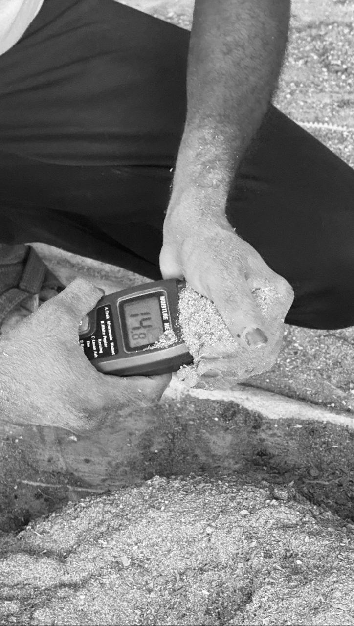 Moisture testing biomass material