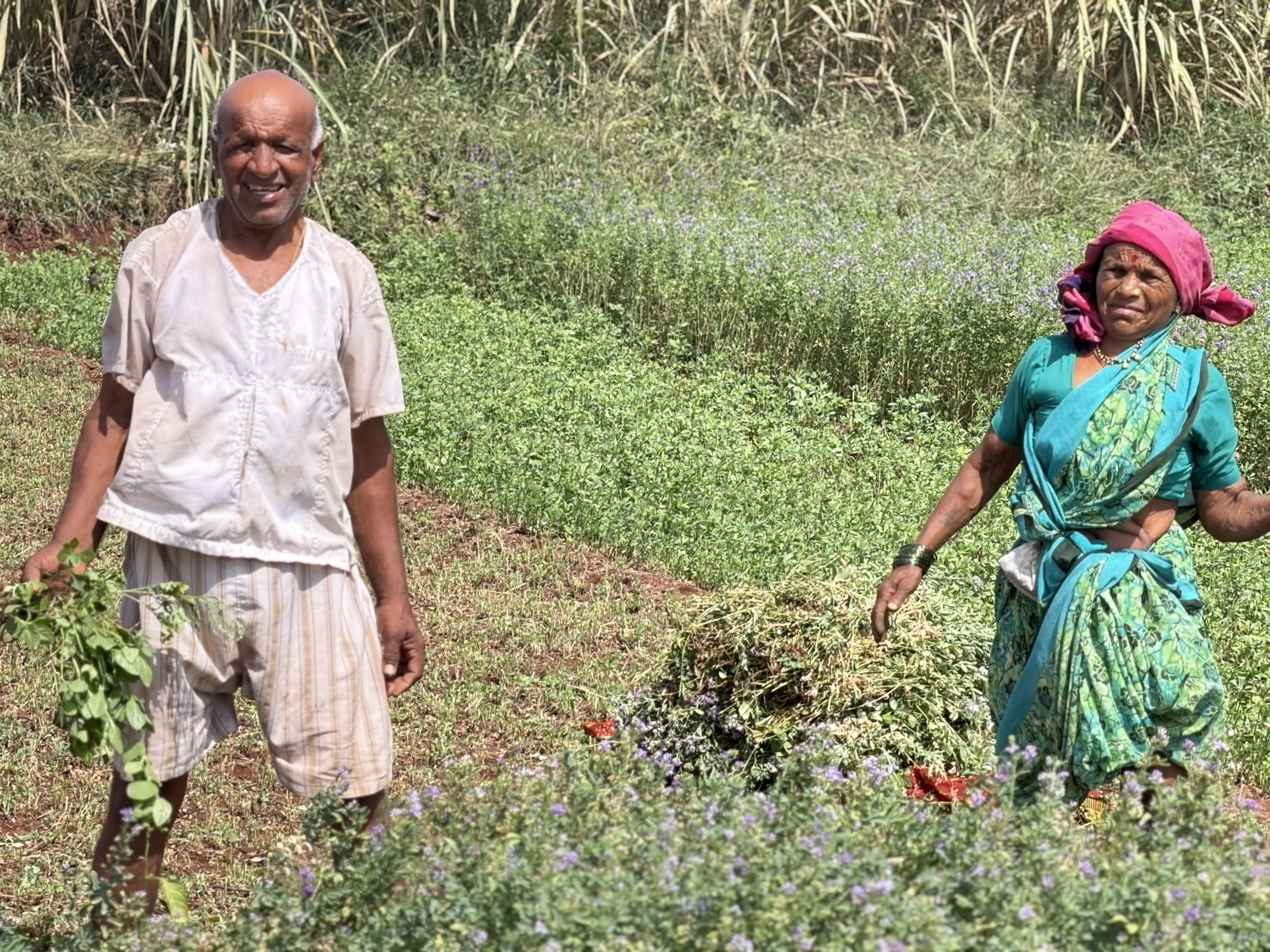 Rural family in the green fields