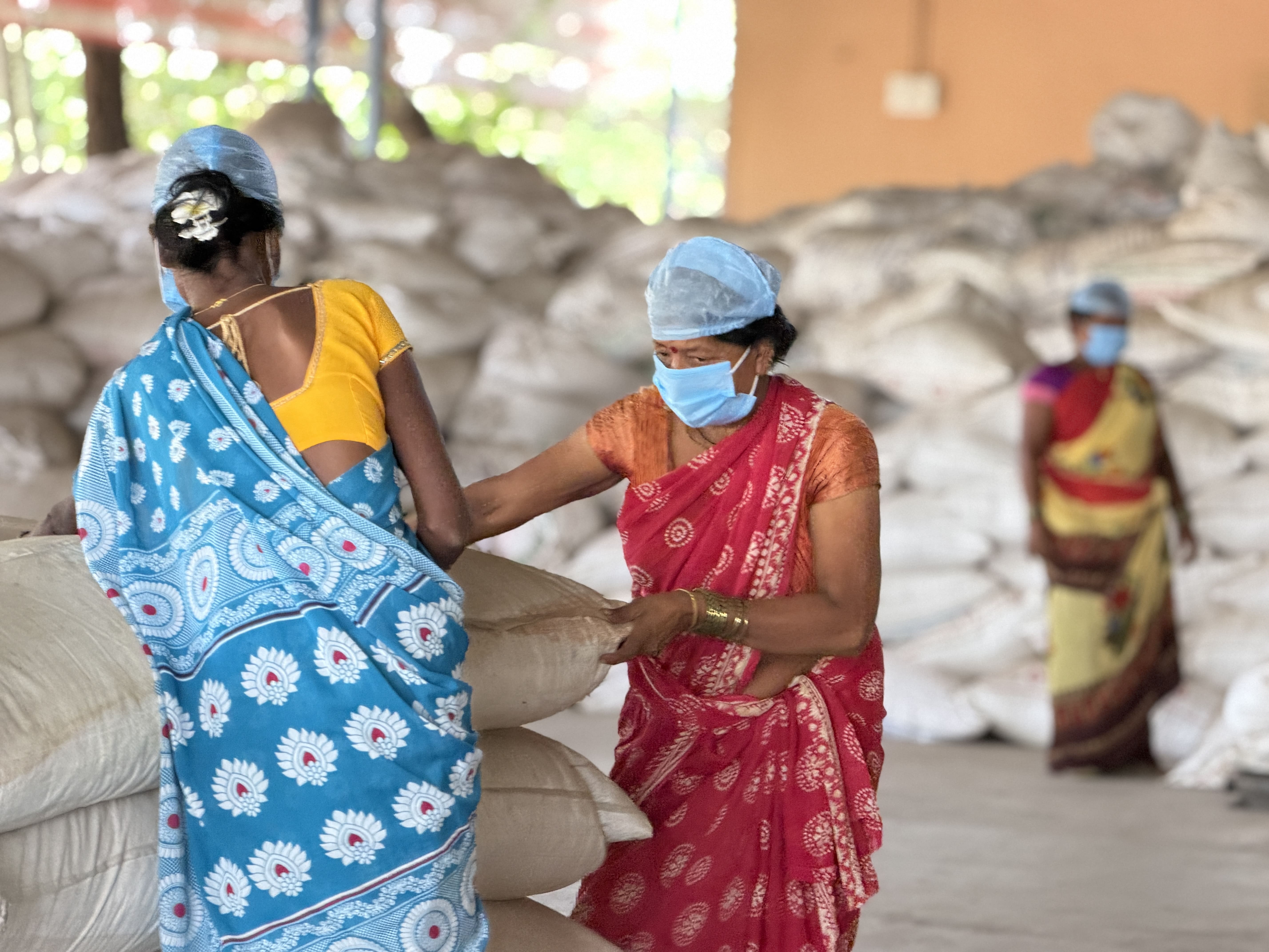 Women-led biomass workforce