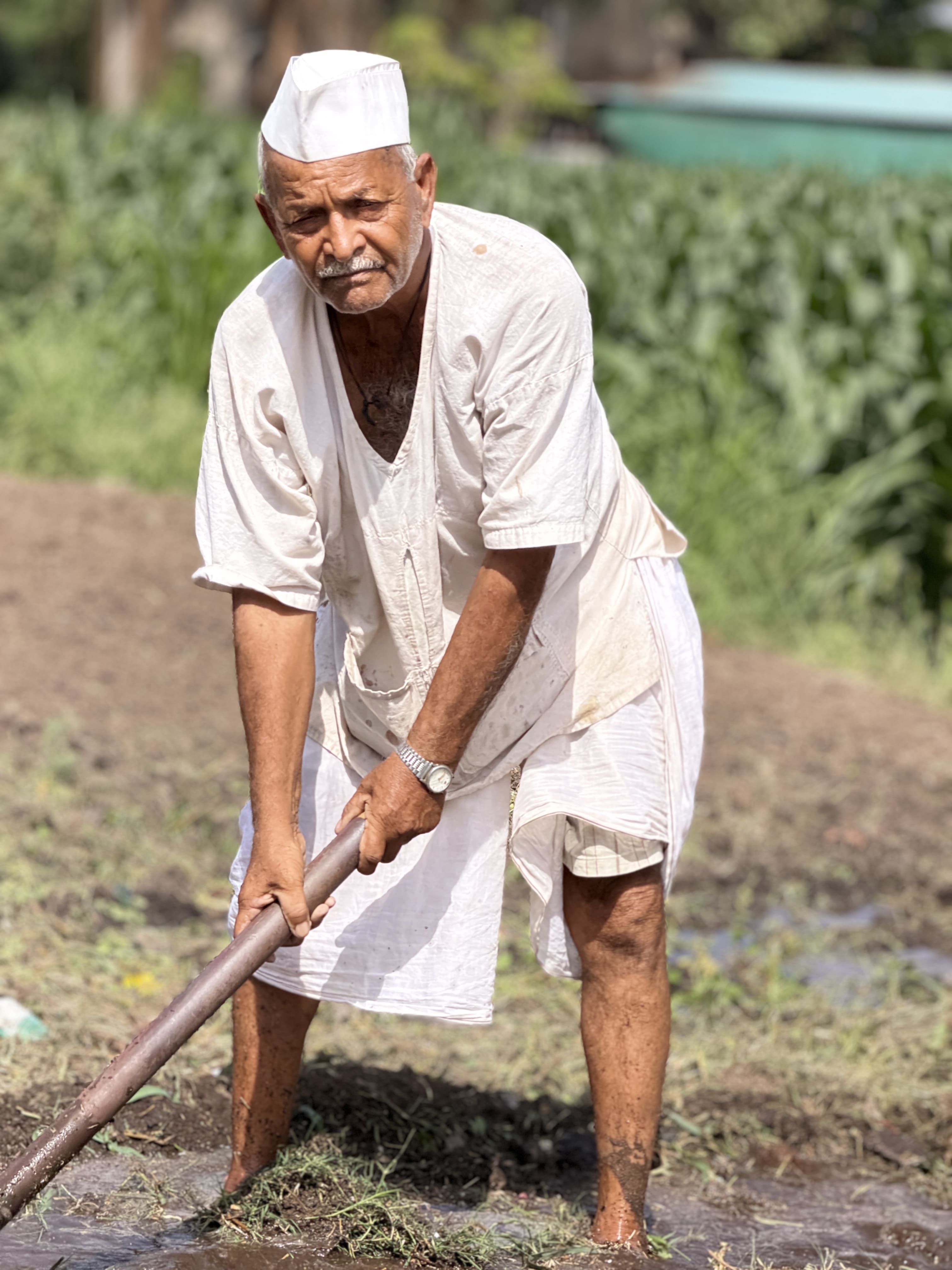 Farmer tending the land
