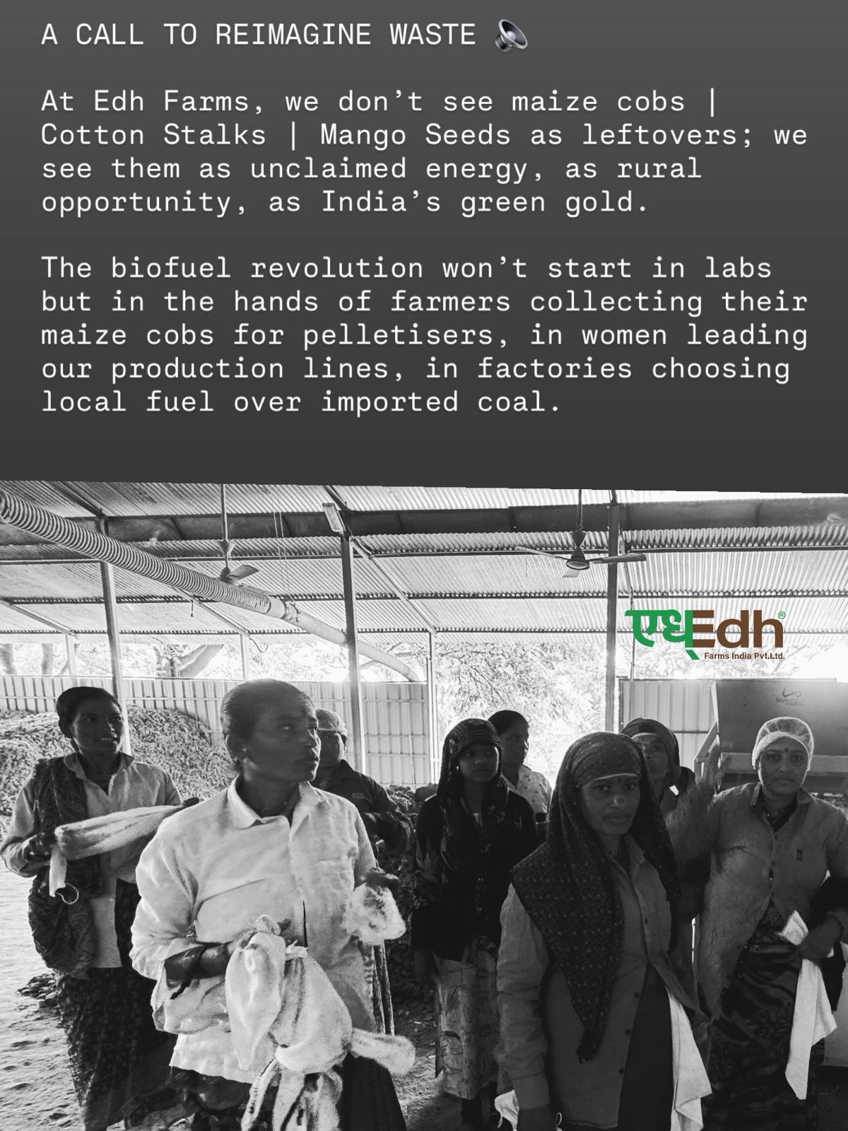 Rural women participating in biomass operations